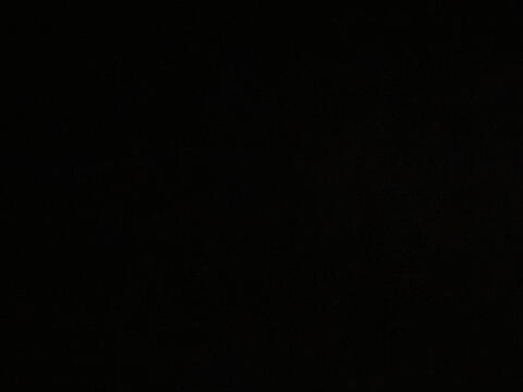 I don’t care about age as long as you aren’t weird. I only follow back if it’s clear you’re not fatphobic. I have autism, ADHD, and possibly bpd too