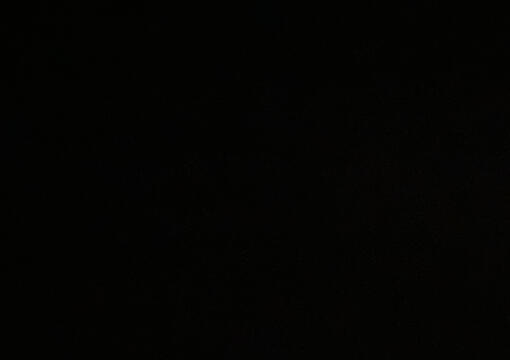 racist, transphobic, homophobic, pro life, ableist, etc, against people self diagnosing, if you know me in real life, fatphobic/allspo/interacts with fatspo